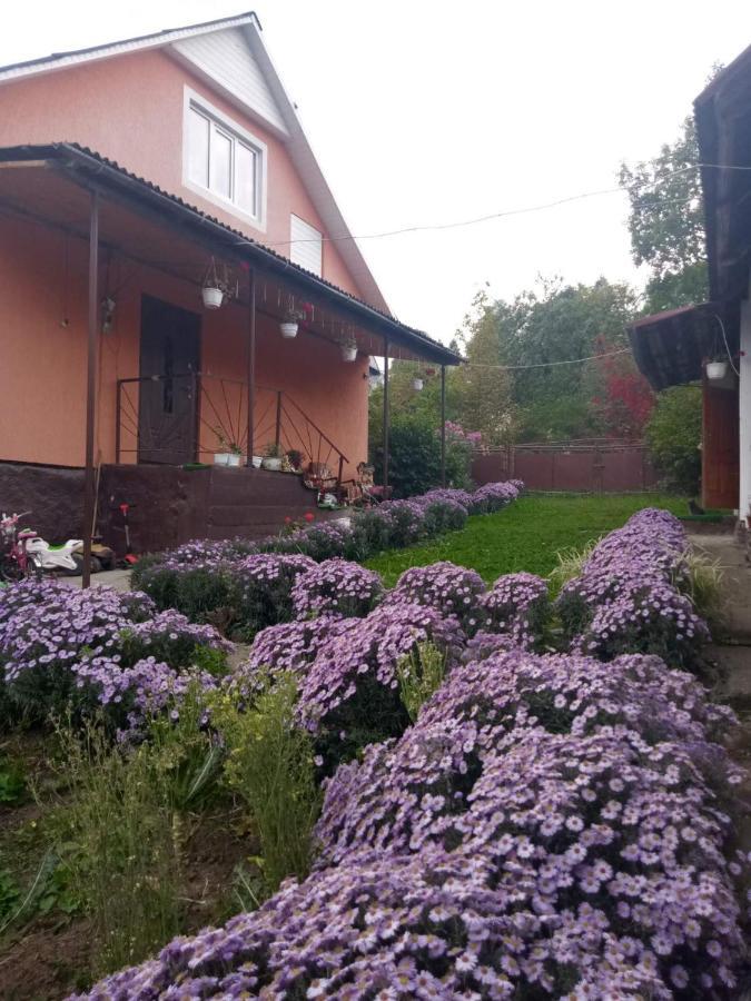 Hotel Gostynnyi Dvir U Marichky à Lazeshchyna Extérieur photo