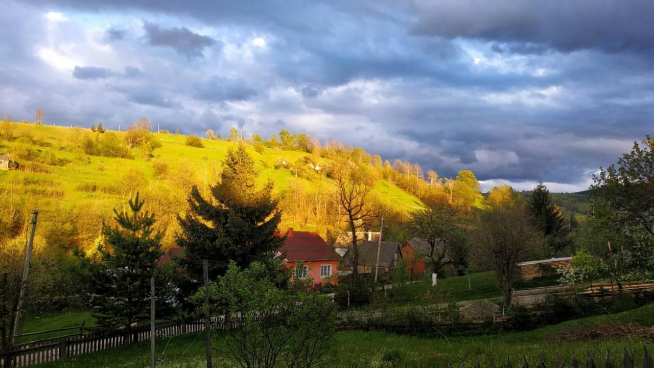 Hotel Gostynnyi Dvir U Marichky à Lazeshchyna Extérieur photo